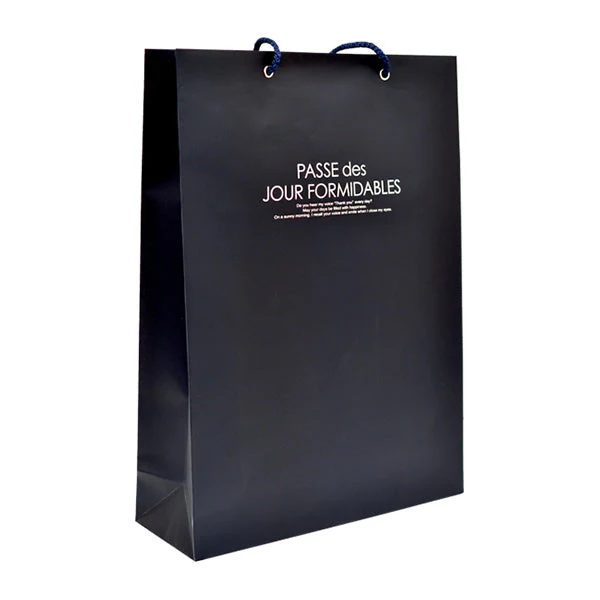 【OUTLET】ギフトバッグ プレゼントバッグ ハンドルバッグ ペーパーバッグ タテ LL カラー 041802